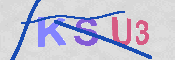 تصویر کپچا