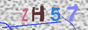 تصویر کپچا